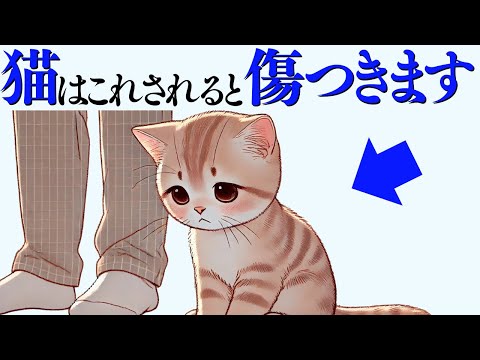 猫の動画サムネイル - 【猫が傷つく飼い主の行動】 猫の雑学 #猫 #ねこ