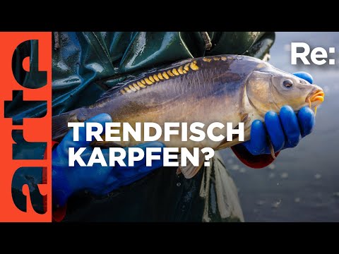 Karpfen statt Lachs | ARTE Re: