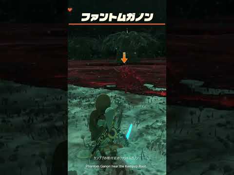 【ゼルダの伝説】ケンププの根付近のファントムガノン ゼルダの伝説ティアーズオブザキングダムNintendo Switch 2 Edition #shorts