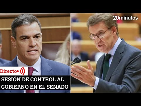 Pedro Sánchez asiste a la primera sesión de control tras las elecciones europeas