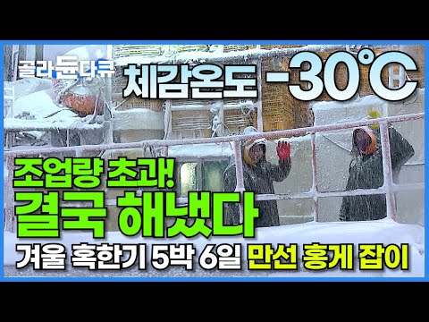 극강 추위의 바다! 잡아도 너무 많이 잡았다! 하나에 150마리 통발 320개 무한 반복 투하!┃조업에서 수출 가공까지┃겨울 혹한기 5박 6일 만선 홍게 잡이┃극한직업┃#골라듄다큐