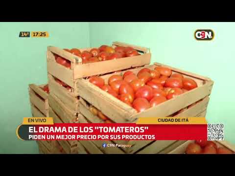 Tomateros de Itá exigen un mejor precio por sus productos