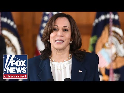 Kamala Harris actively 'avoids' border crisis: Border Patrol Council President Kamala Harris actively 'avoids' border crisis: Border Patrol Council President