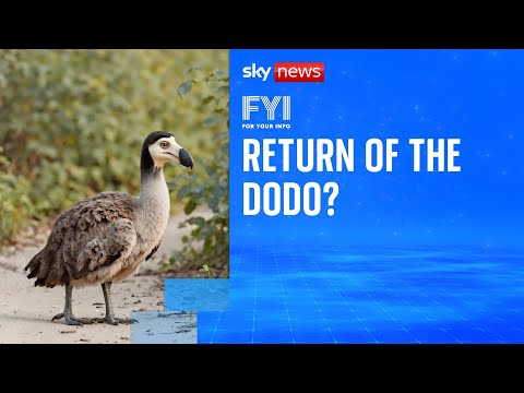 Return of the dodo? | FYI