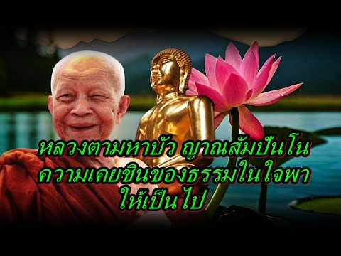 หลวงตามหาบัวญาณสัมปันโนความ