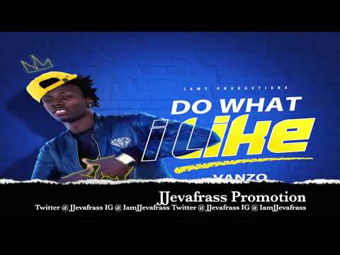Vanzo - Do What I like - January 2020