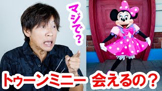 驚愕／ミニーの家でミニーの整列グリーティング実施（2025-06 東京ディズニーランド／トゥーンタウン）