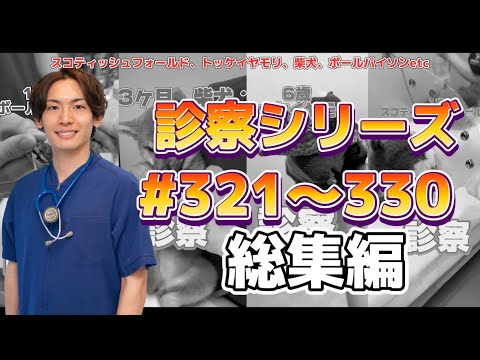 診察シリーズ＃#321~330