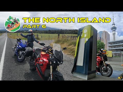 North Island NZ Road Trip 🥝 Part 6: The Ride Home