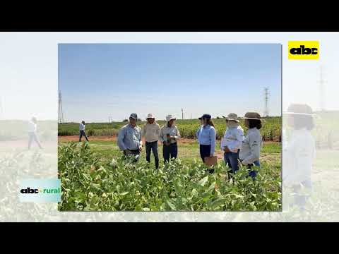 Inbio trabaja en crear soja tolerante a sequía