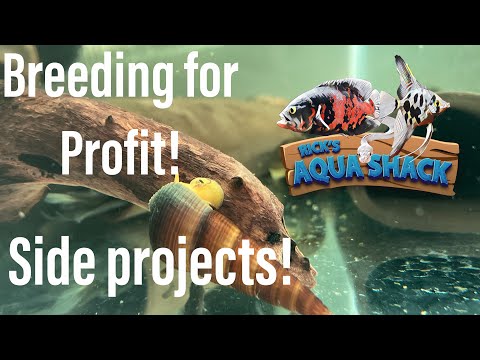 Breeding For Profit! (Side Projects!) In today’s video, I go through everything else that I’m currently breeding other than plecs. Thi