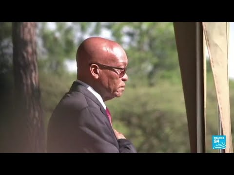 Jacob Zuma : qui est l'ex-président sud-africain condamné à 15 mois de prison  • FRANCE 24