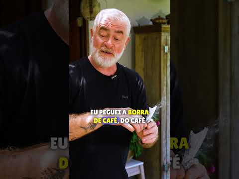 Thumbnail Video Youtube