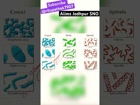 Aiims Jodhpur SNO || DIAGRAMS BASED QUESTIONS #aiims #norcet #nursing #success #shorts #viral