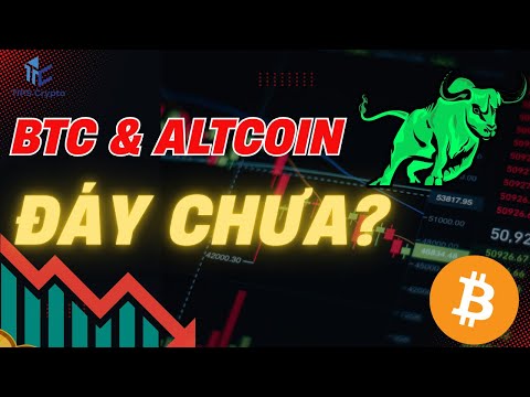 AE còn giữ coin không? Đây là lúc thử thách niềm tin thật sự! / Tips Crypto