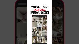 動画サムネイル