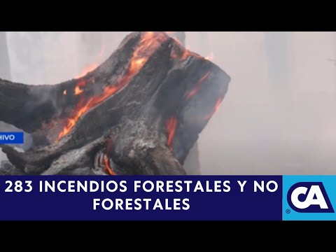 CONRED activa protocolo por temporada de incendios forestales