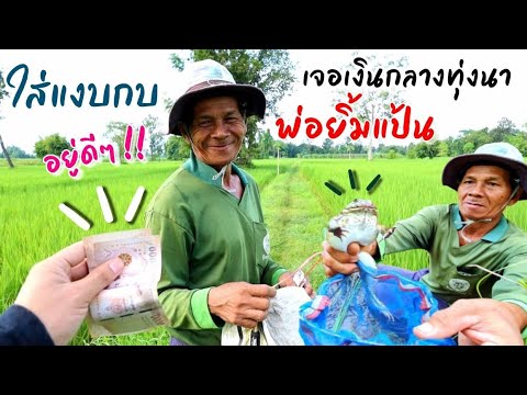 EP173ยิ้มน่ารักกลางทุ่งนา-พ่อใ EP173ยิ้มน่ารักกลางทุ่งนา-พ่อใ