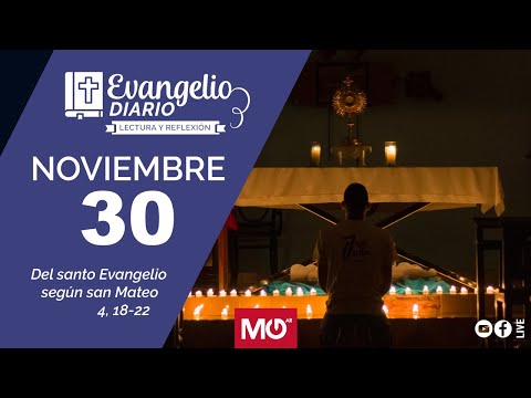 Lectura y reflexión | 30 de noviembre 2023 | Del santo Evangelio según san Lucas: 4, 18-22.