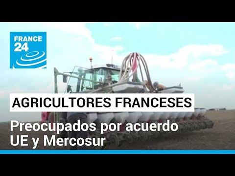 Negociaciones entre la UE y Mercosur preocupan a los agricultores franceses • FRANCE 24 Español