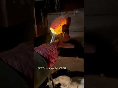 Гусыня села на яйца. Убираем болтунов.