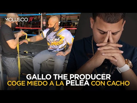 Se le cae todo a Gallo The Producer, se va corriendo de pelea con Cacho ???‍♂️