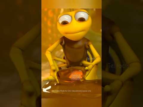 Cruel Honey Bees 🐝 😱 #telugufacts #amazingfacts #factsintelugu #shorts #tejfacts