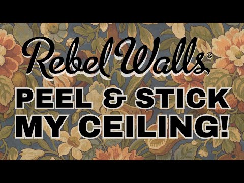 Wallpapering to Mozart Ep. 14