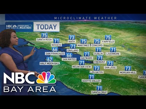 Bay Area forecast: Seasonable and sunny day