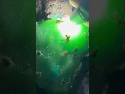 准备開乾了!牛逼料子!