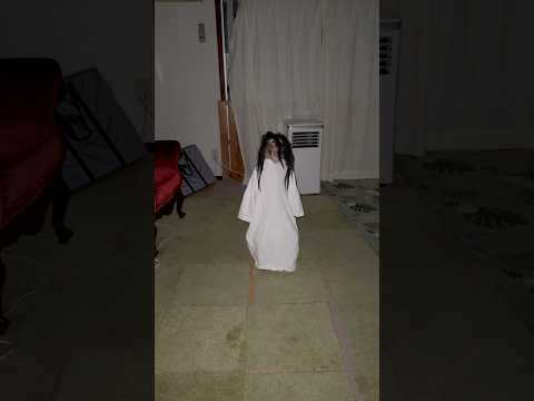 ガチで幽霊見た。やばい。