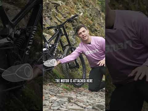 Sprung & Unsprung mass… What is it?!