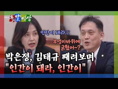 [돌발영상] "쥐잡듯 한다느니…" 한동훈 잡으려는 이 사람은 누구? / YTN