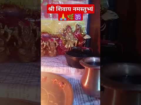 #katha #upay #motivation #facts #trending #ashtrology #pradeepmishrajidhankeupay 🙏🌿🕉️