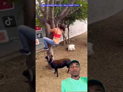 Bakri ki ladki ke sath kya kar diya 😱!!#shorts #comedy #crazycomedy #funny #viral