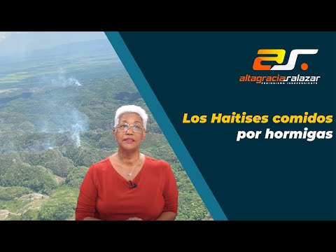 Los Haitises comidos por hormigas, Sin Maquillaje, mayo 2, 2023