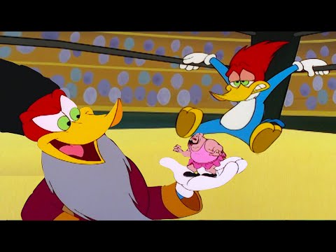 Woody the Wrestler | Woody Woodpecker