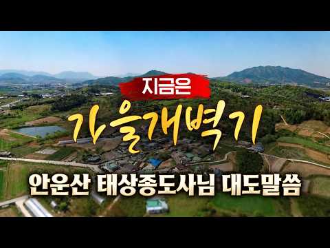 안운산 태상종도사님 대도말씀 시즌2 5회 지금은 가을개벽기 #증산도