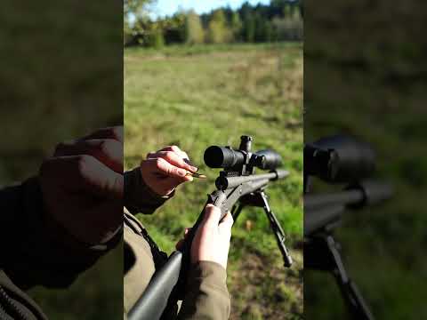 Americas SILENT Sniper Rifle [AAC Handi 300BLK]