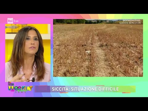 Siccità: Italia sempre più in emergenza - 20/07/2024