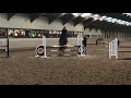 Show jumping horse Springmerrie Tornesch