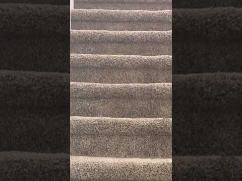 I’m always being watched…#funnyanimals #luna #wolfdog