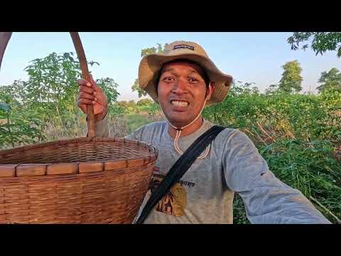 หามิ้มเจอรังใหญ่แต่มีสิ่งที่