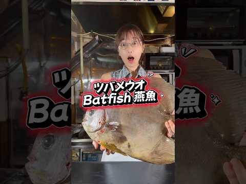 人生初のレア魚★★★★仕入れました