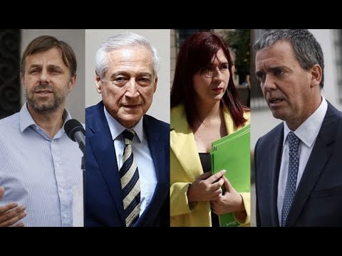 Tolerancia Cero Ed. Plebiscito 2020: Germán Codina, Heraldo Muñoz, Catalina Pérez y Felipe Harboe