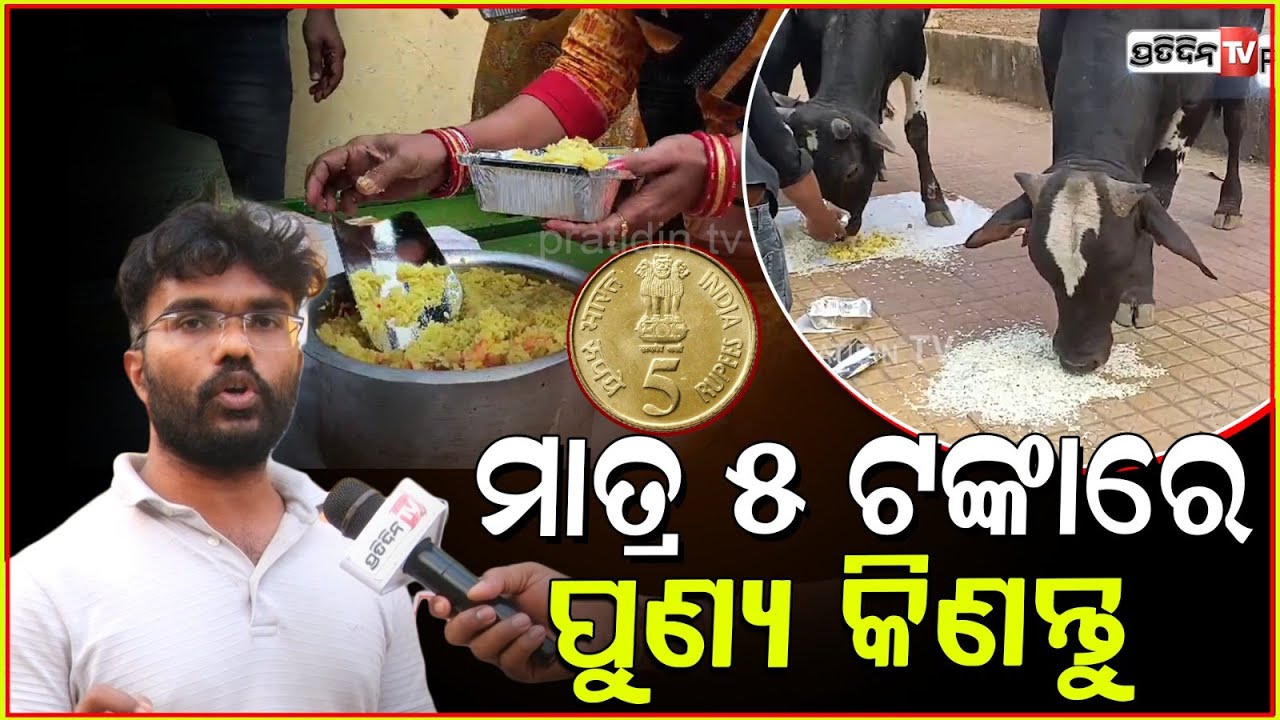 ରାଜଧାନୀରେ ପ୍ରାଣୀ ମାନଙ୍କ ପାଇଁ ଖୋଲିଛି ୫ ଟଙ୍କିଆ ଆହାର ସେଣ୍ଟର୍। Animal foods just 5 rupees in Bhubaneswar
