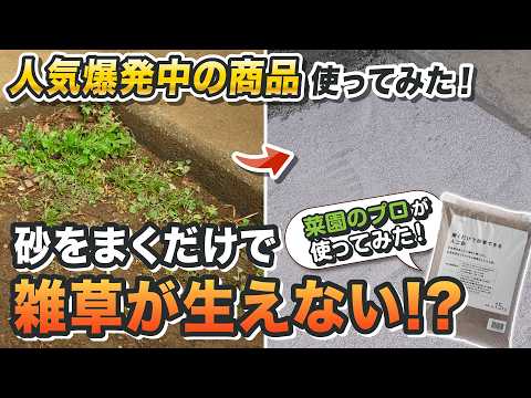 【雑草対策】まくだけで草が生えない!? 話題の「防草砂」を菜園のプロが使ってみた！