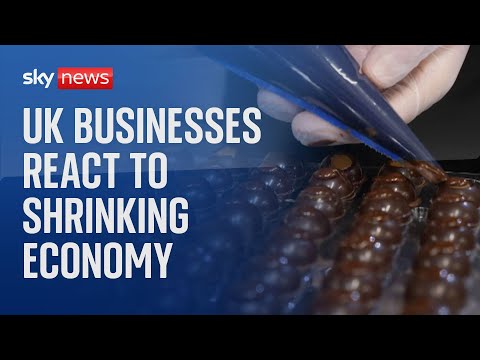 UK businesses react to shrinking economy