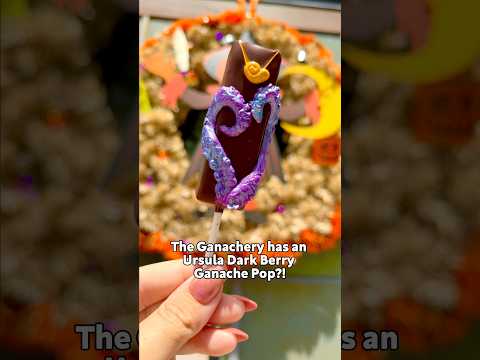 Ursula Dark Berry Ganache Pop?!