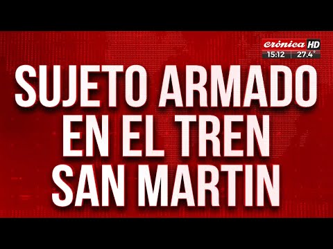 Detuvieron a un hombre que amenazaba a los pasajeros en el Tren San Martín